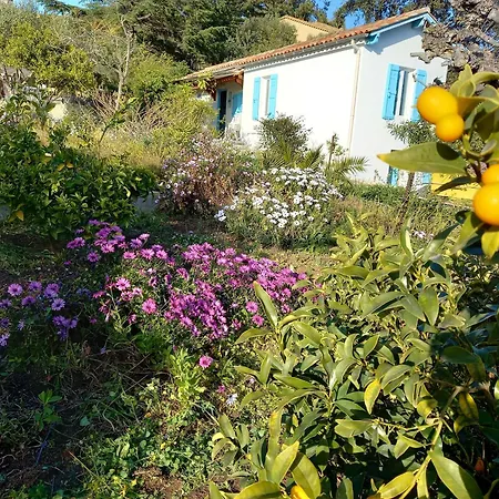 Feriehus Maison 4 Face A La Grand Jardin Ideal Famille Avec Pluri Animaux Saint Clair Le Lavandou